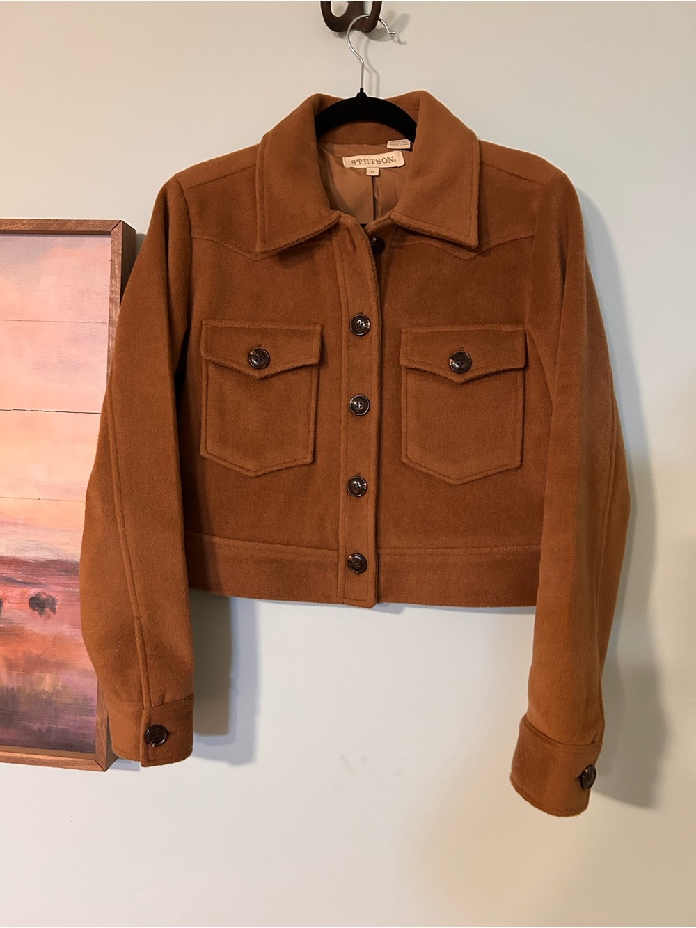 Stetson Women's Chestnut Brown Cropped Button Jean Jacket